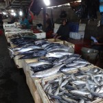 Fish market at Jimbaran