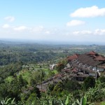 Rice fields terraces